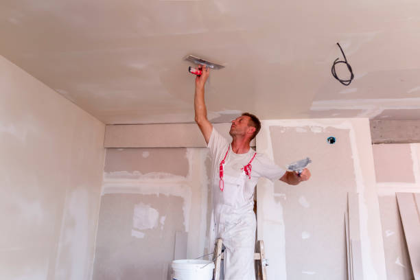 Best Drywall Installation  in Lillington, NC